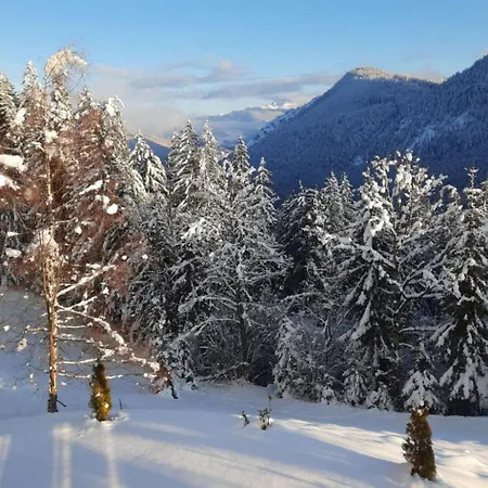 Holiday Home Alpenauszeit By Interhome * Radstadt